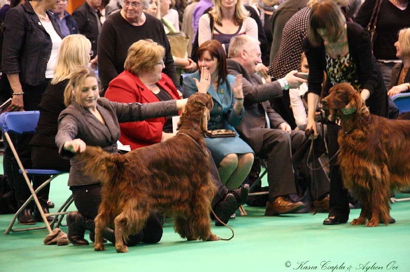 Crufts2011_2 014.jpg